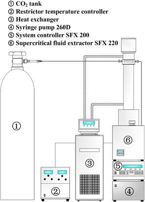 Optimization of <mark class="highlighted">fucoxanthin</mark> extraction obtained from natural by-products from Undaria pinnatifida stem using supercritical CO2 extraction method